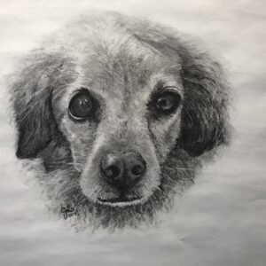 Pet and animal paintings, or drawings
