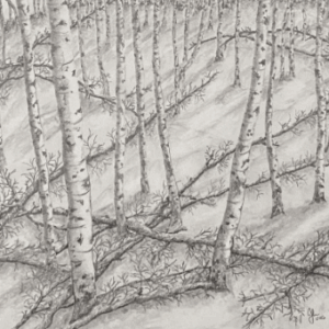 "Waiting for Spring"